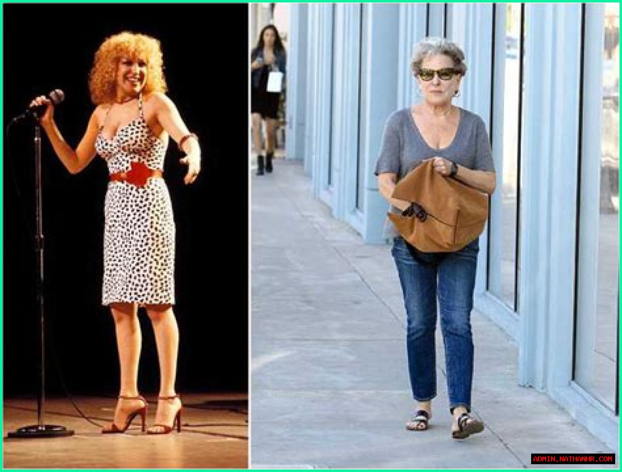 Bette Midler Height