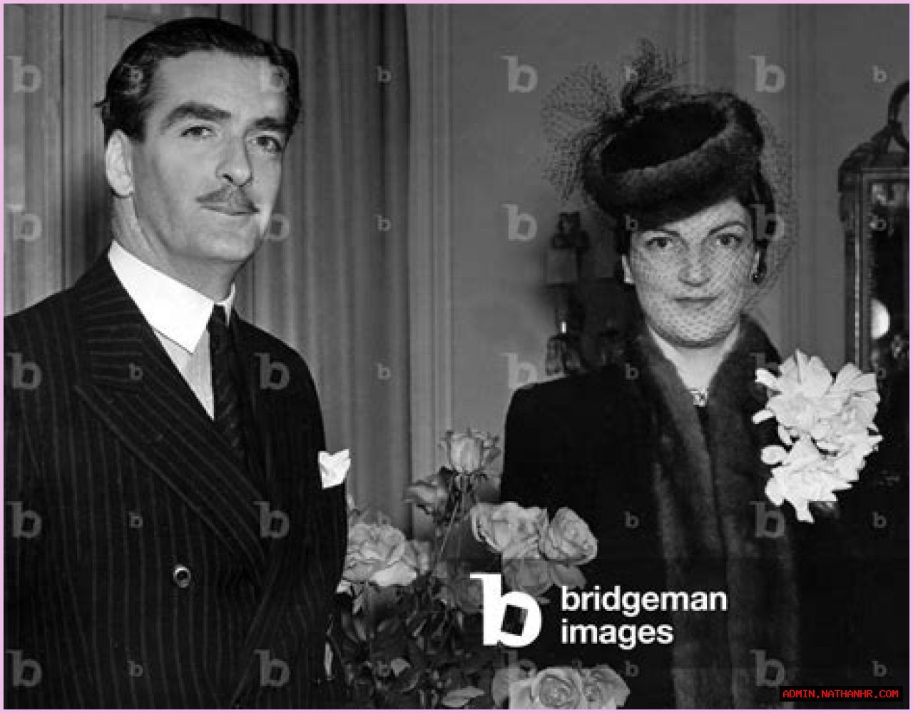 Peter Beckett Biography, Age, Height, Wife, Net Worth, Family